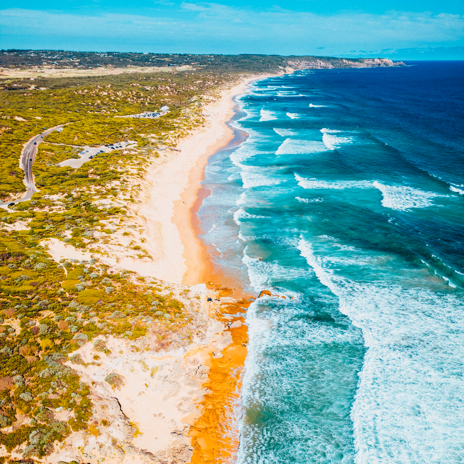 Ancient Australian coastline where wild lemon myrtle grows naturally along more than 2,000 kilometres of coastline.